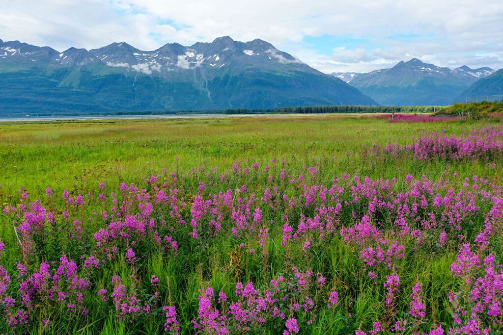 Grass lands with mountains and water in the background