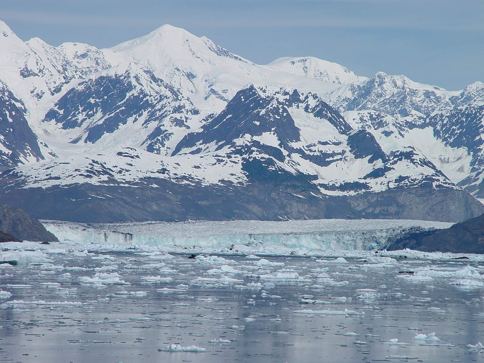 Columbia Glacier Cruise Stan Stephens Cruises