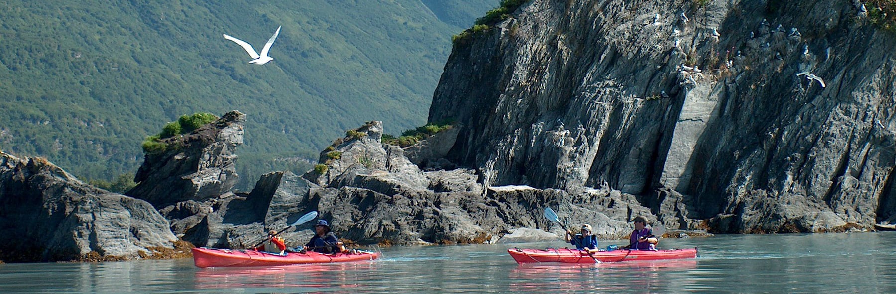 Kayakers enjoying Prince William Sound.